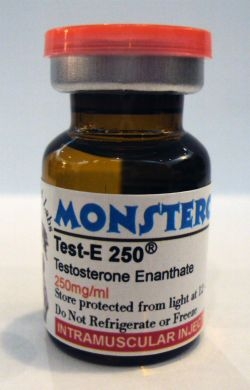 Buy Test-E 250 mg/ml, 10ml with paypal
